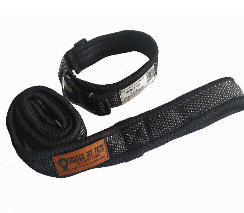 Smart collar belt and leash with comfortable padding