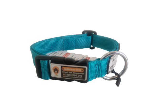 Sea Green 1 Inch Standard Smart Dog Collar, Anti-lost Dog collar
