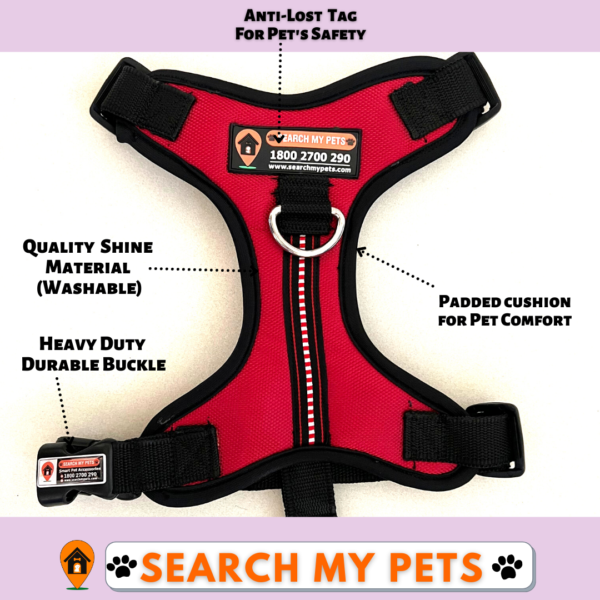 dog Harness