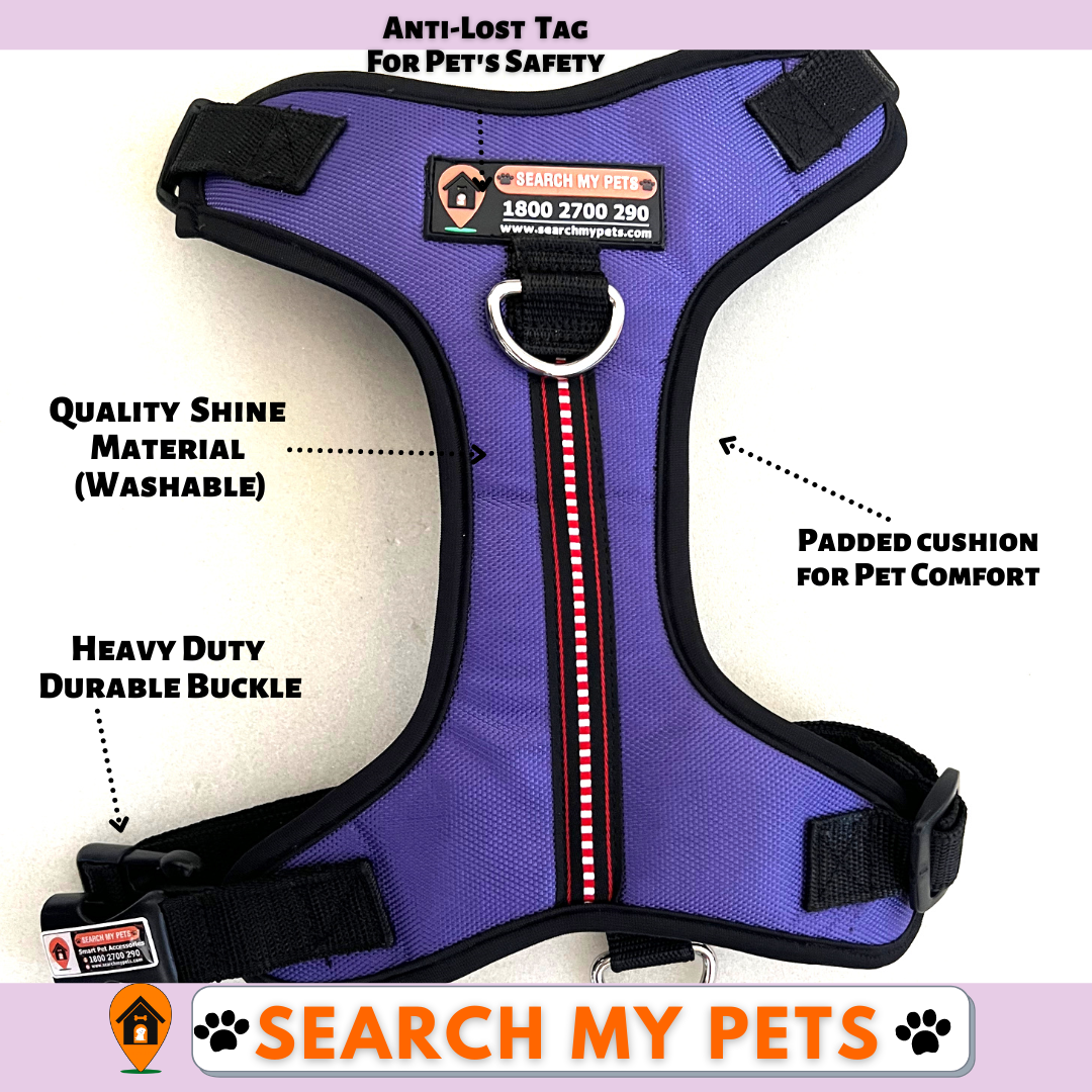 Anti-Lost Chest Harness for Dogs, Purple Chest Harness