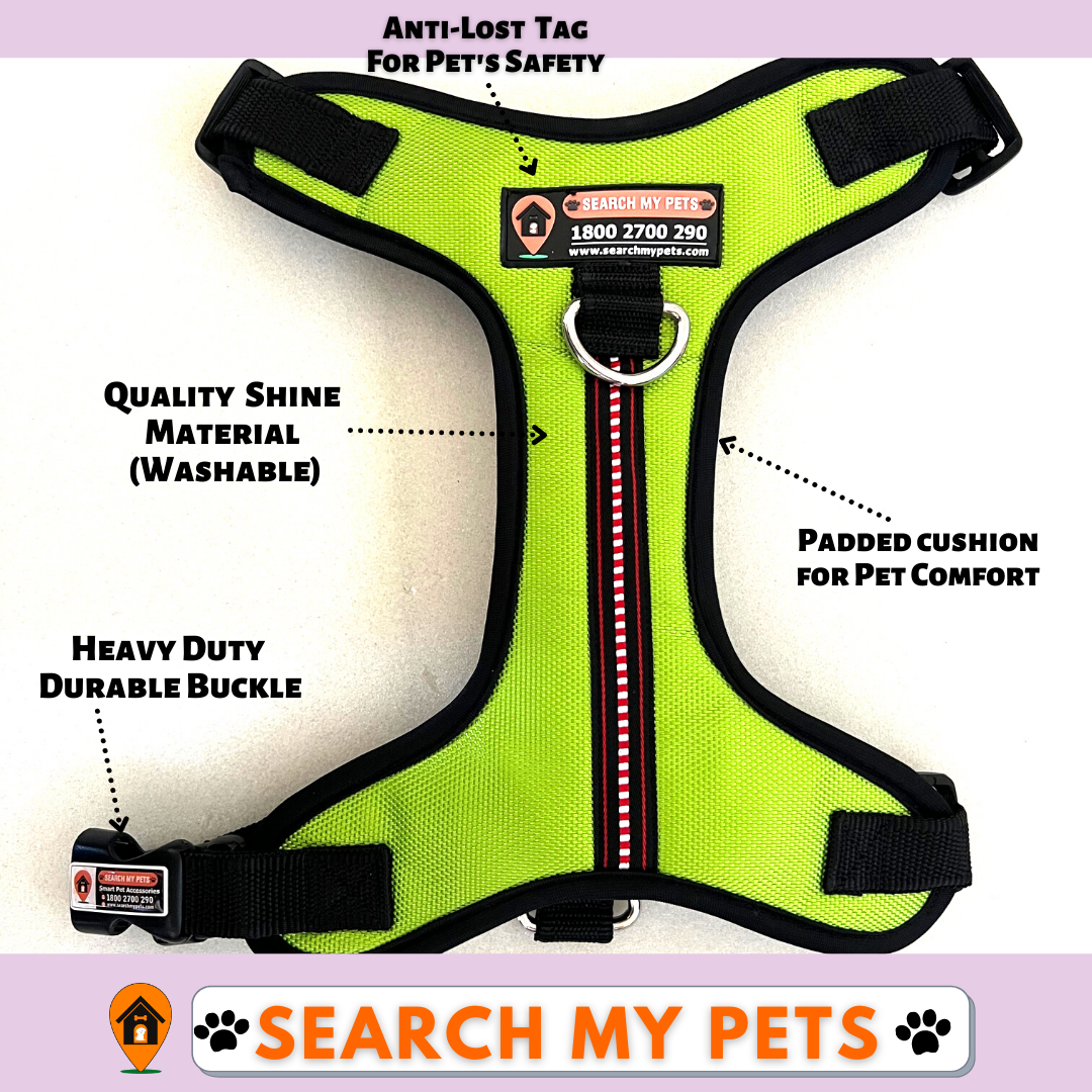 Anti-Lost Chest Harness for Dogs, Neon Green Chest Harness